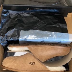 Mens ugg slippers